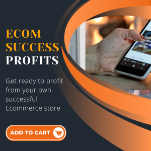 ecommerce success profits