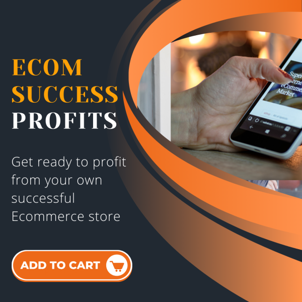 ecommerce success profits